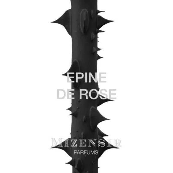 Mizensir Parfums Perfumes^EPINE DE ROSE  | Eau de parfum