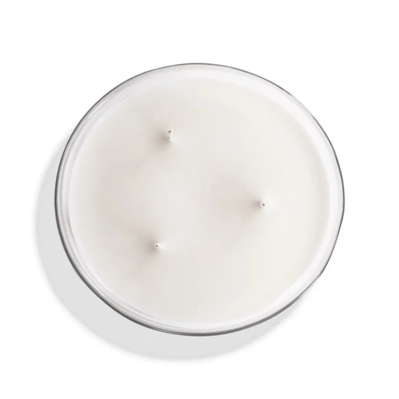 feuille_de_tomate_large_s_1.webp Mizensir Parfums Grandes Bougies Parfumées^Feuille de Tomate | Large scented candle