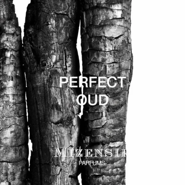 Mizensir Parfums Recharges / 5x8ml^PERFECT OUD | Refills set